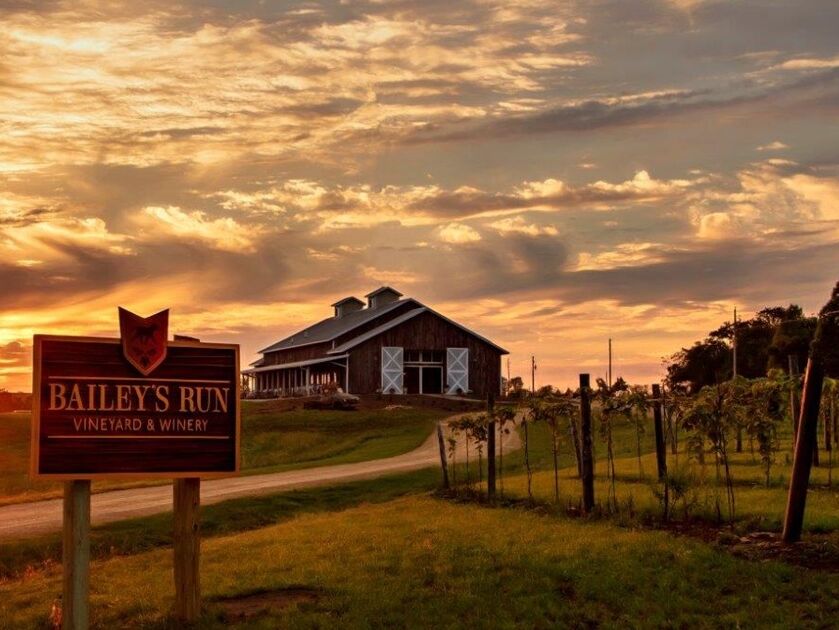 Picture of Bailey's Run Vineyard & Winery