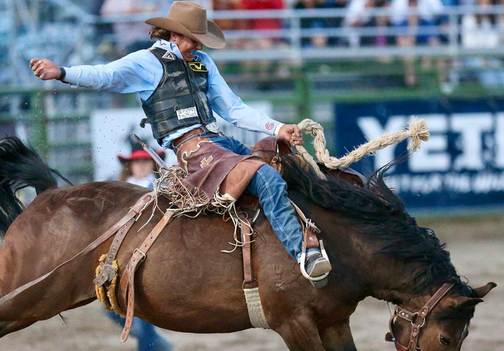 Picture of Jackson Hole Rodeo