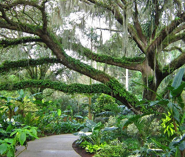 Picture of Harry P. Leu Gardens