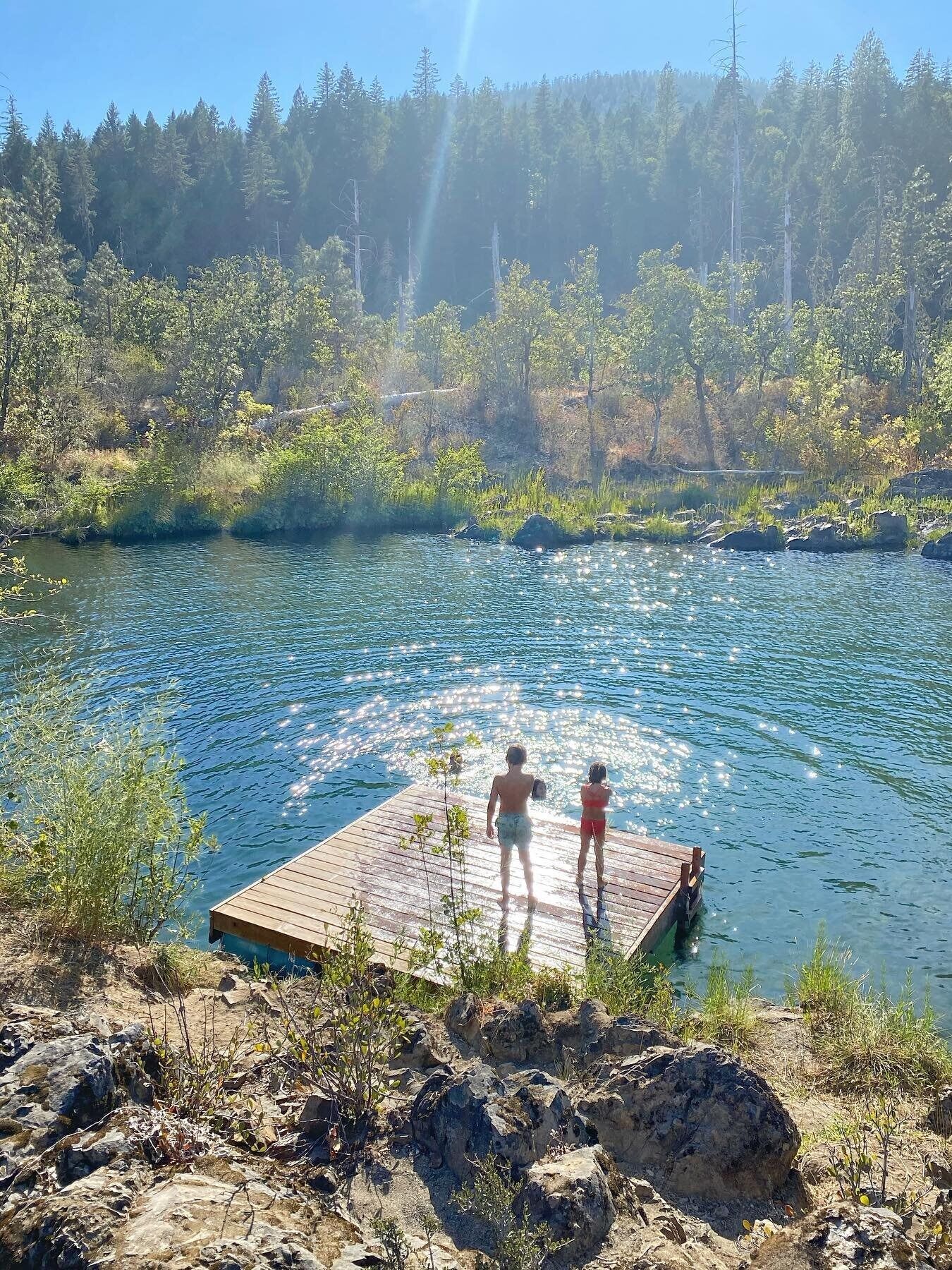Picture of Swimming