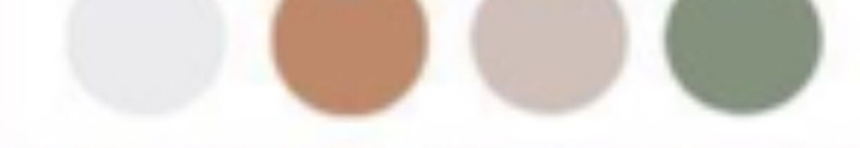 Picture of Dress code and Colors