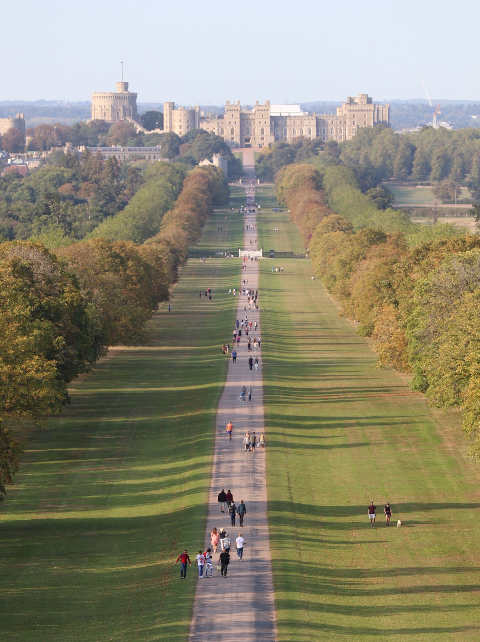 Picture of The Long Walk