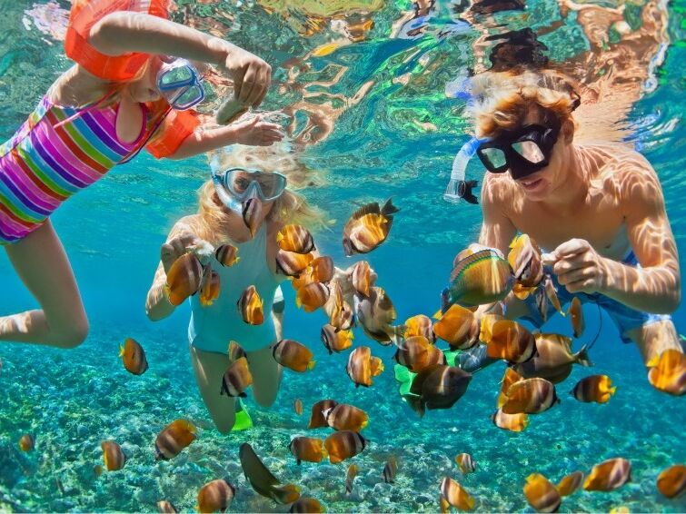 Picture of Snorkeling, Scuba, and Snuba!