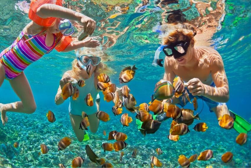 Picture of Snorkeling, Scuba, and Snuba!