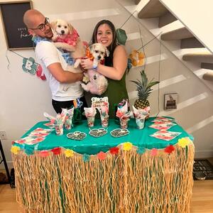 Gallery Photo 41
