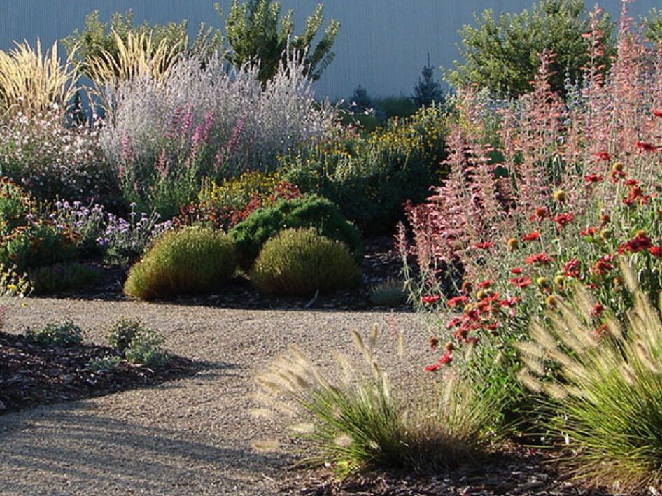 Picture of Orton Botanical Garden