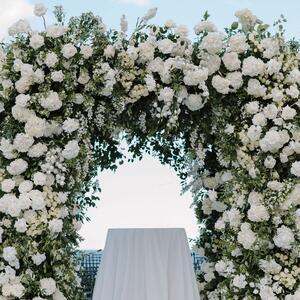 Gallery Photo 44