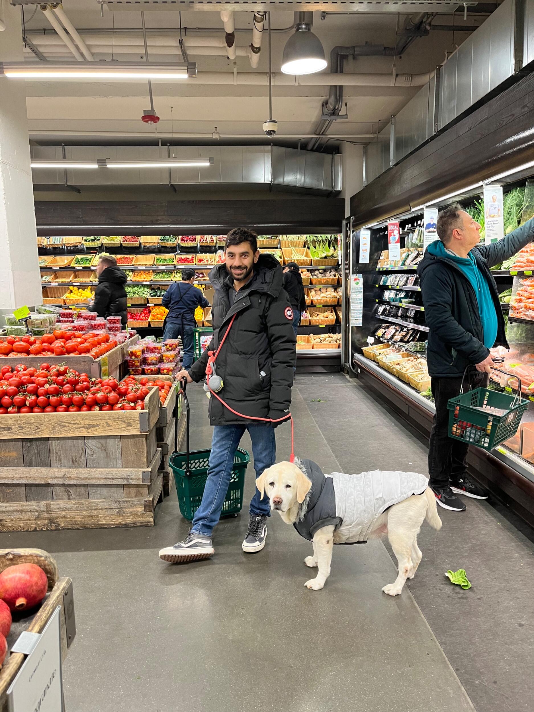 Amir's new groceries buddy: Bianca. 