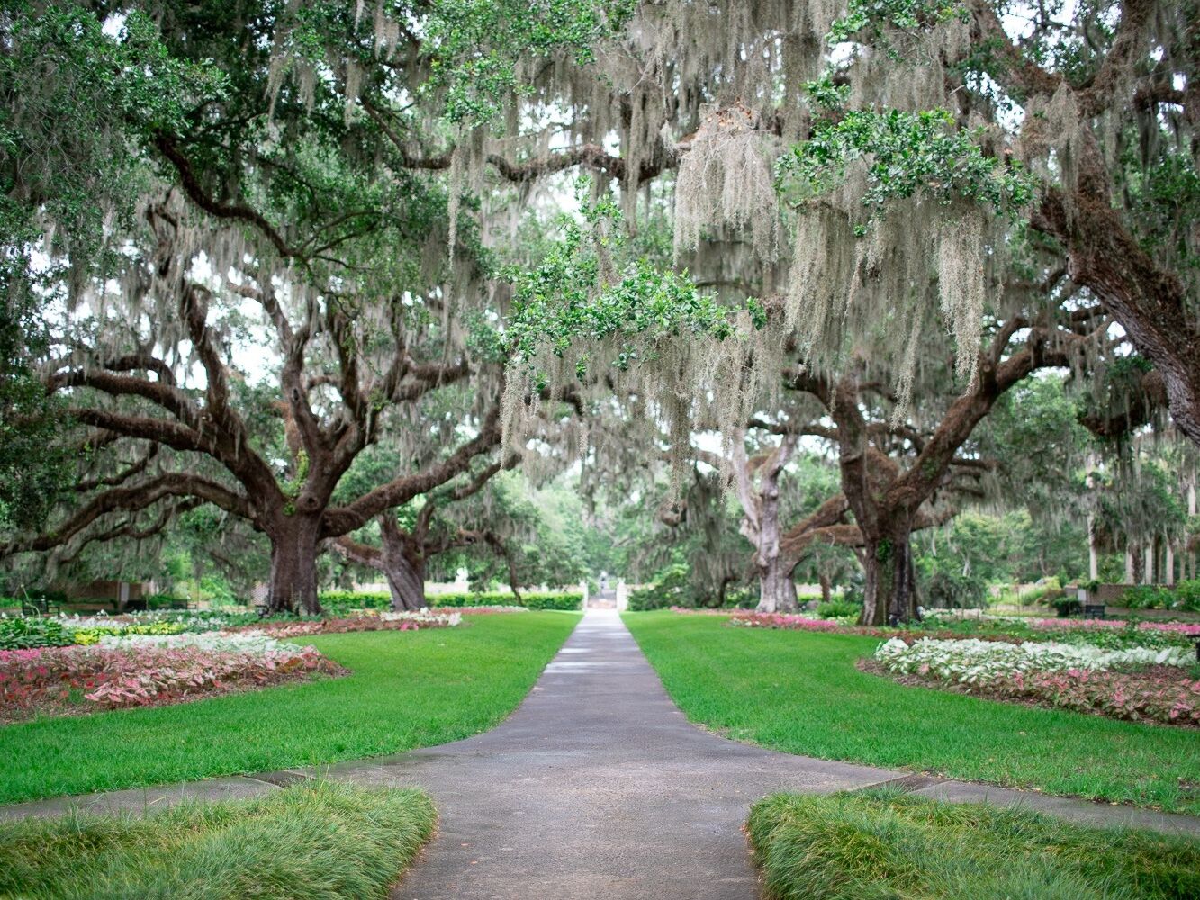 Picture of Brookgreen Gardens