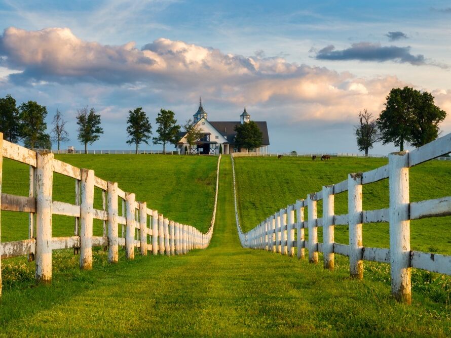 Picture of Kentucky Horse Park