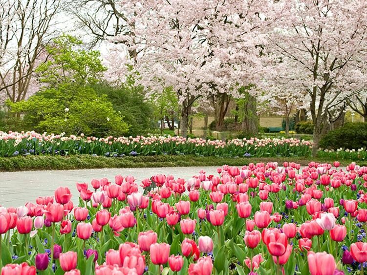 Picture of The Dallas Arboretum and Botanical Garden