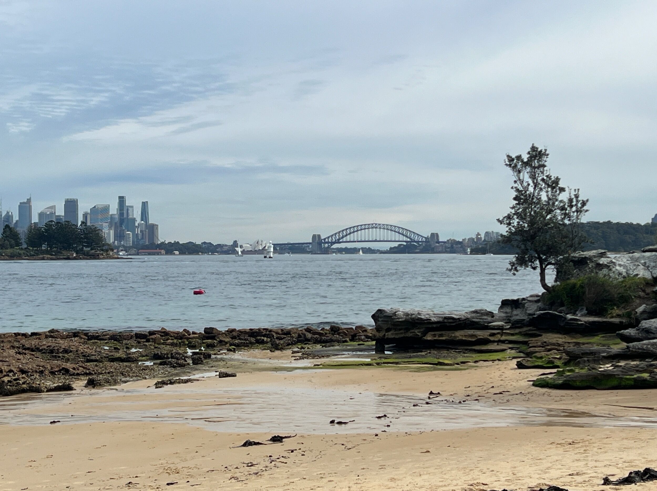 Picture of Watsons Bay Beach