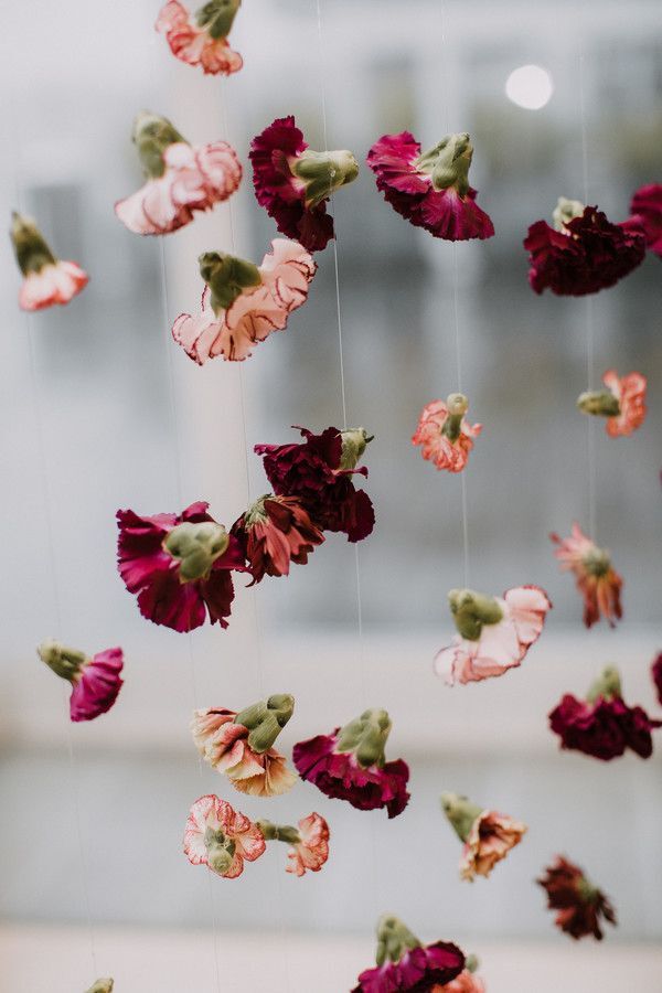Purple carnations hanging from string