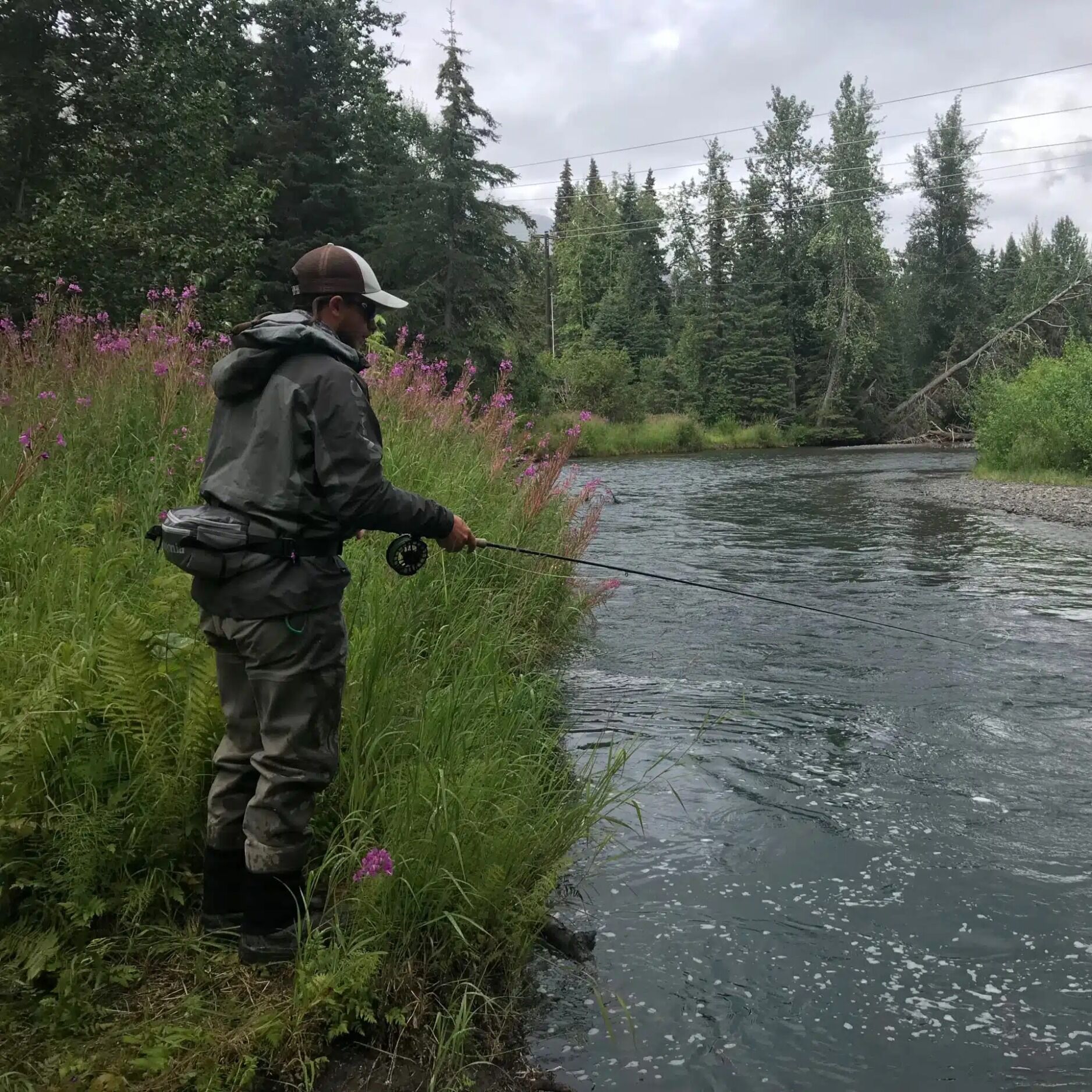 Picture of Salmon Fishing