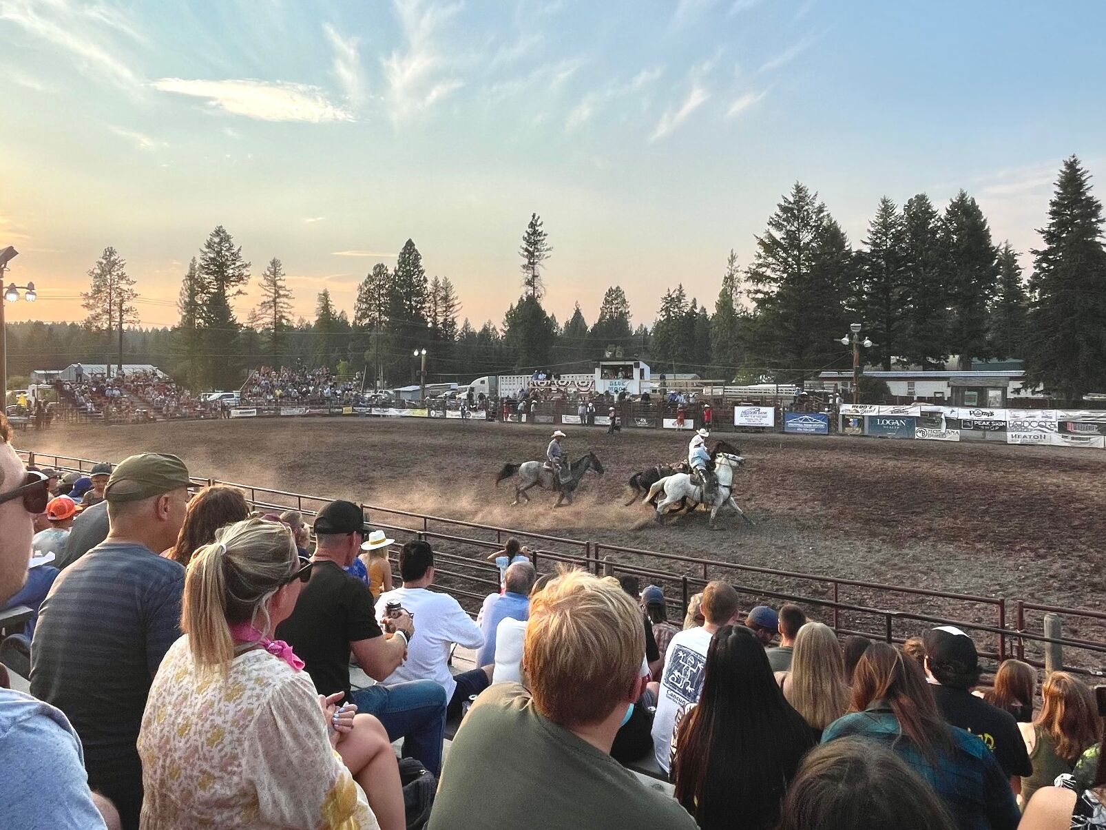 Picture of Brash Rodeo Columbia Falls