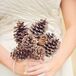 Bridesmaids' Bouquets