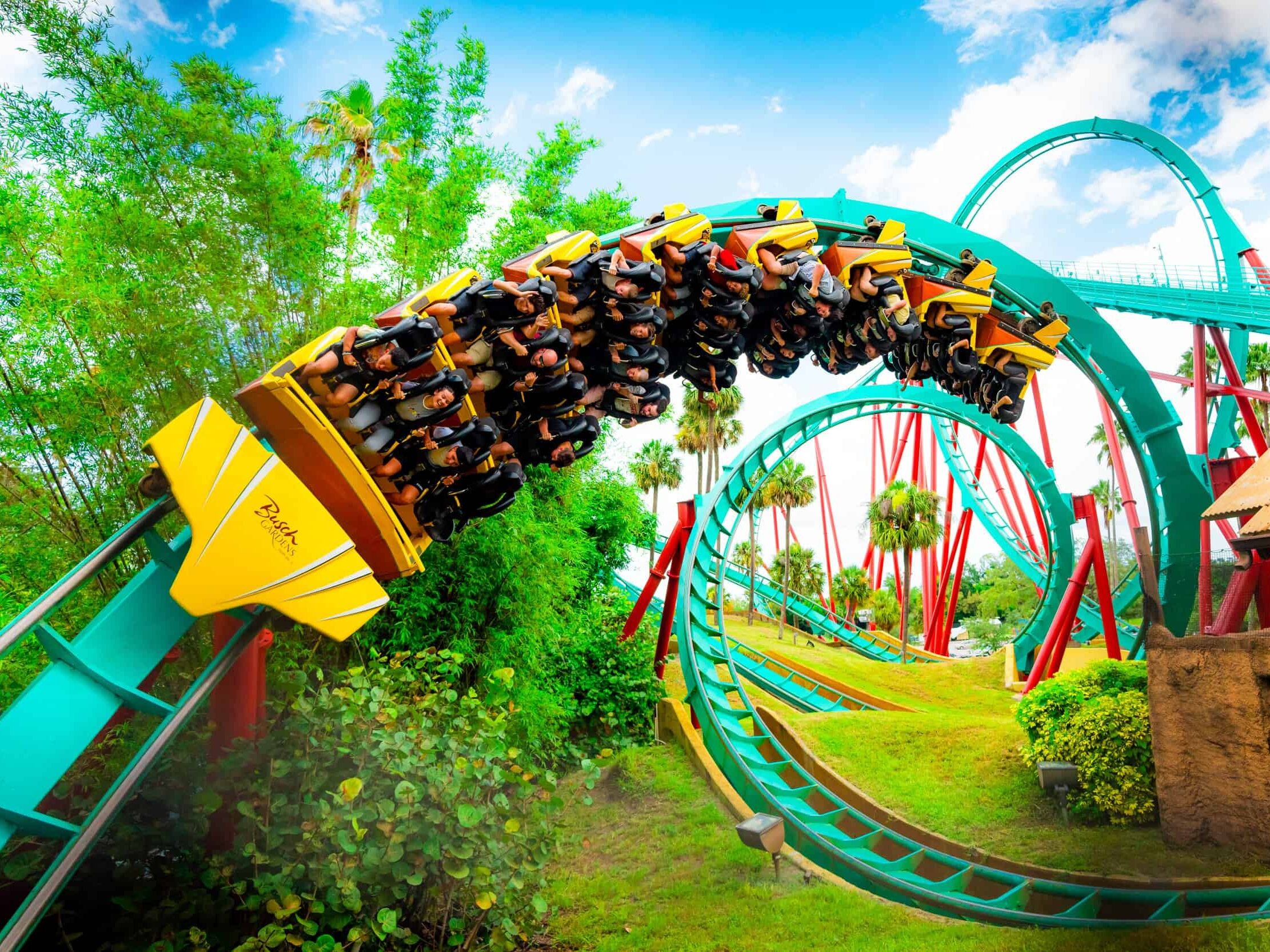 Picture of Busch Gardens Tampa Bay