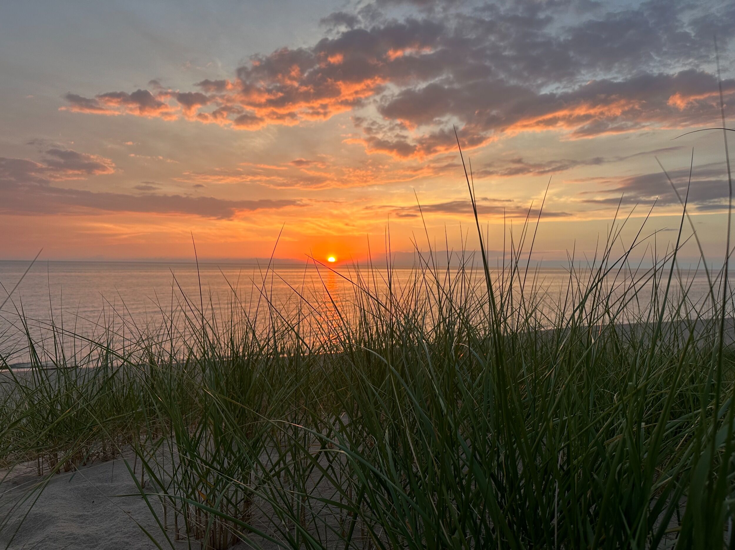 Picture of Saugatuck Dunes State Park