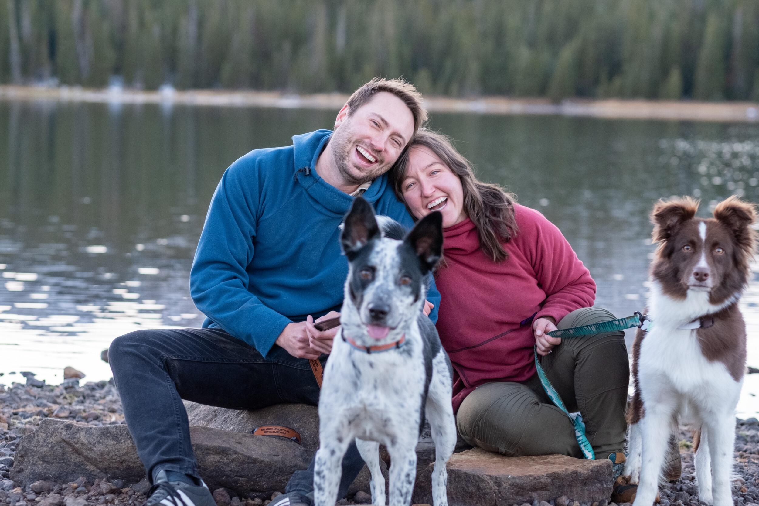 Picture of Play with dogs! 