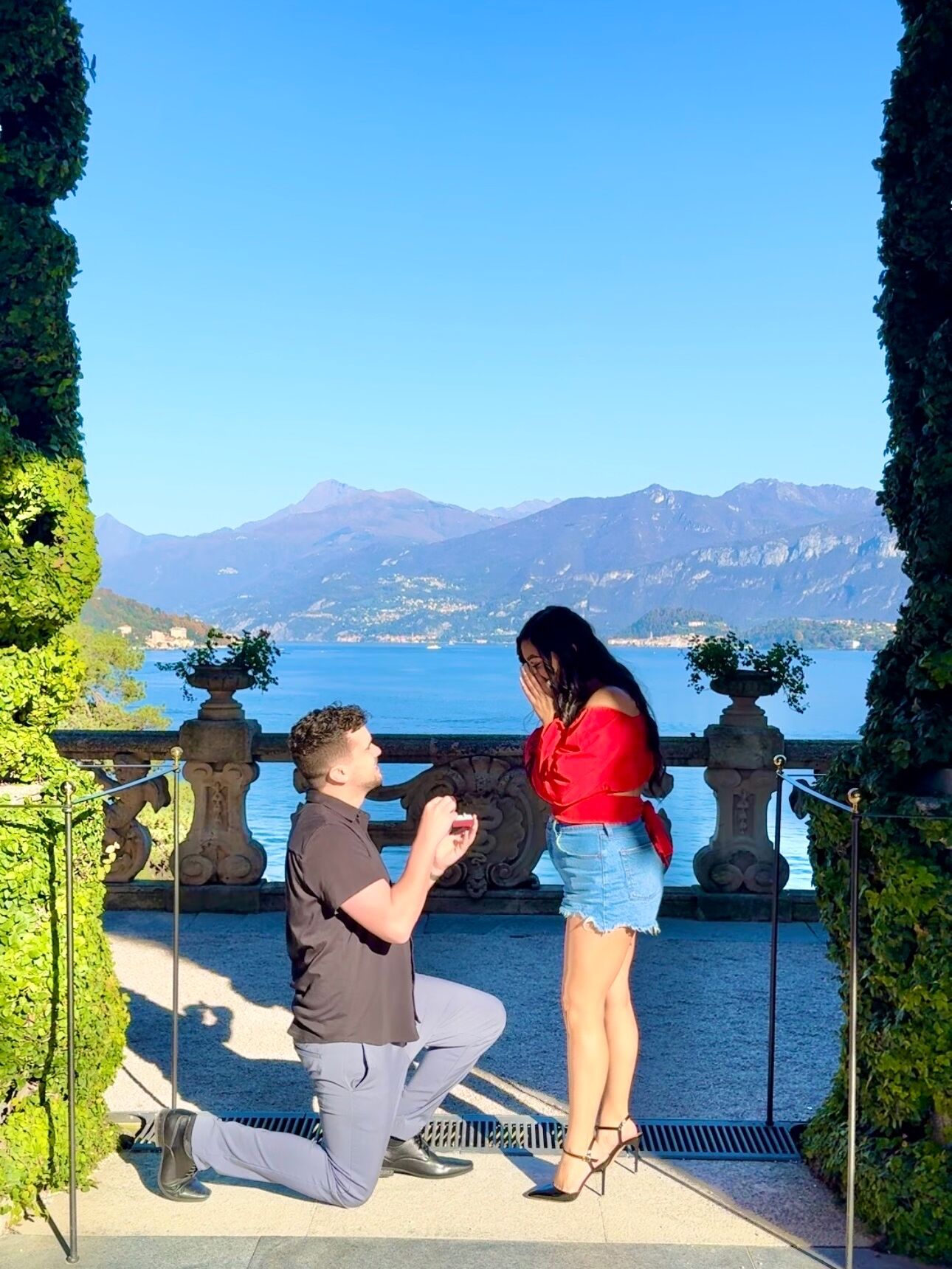 Picture of The Proposal