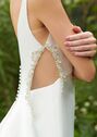 AW Bridal AW GURKHAN WEDDING DRESS A-Line Wedding Dress - thumbnail - 2