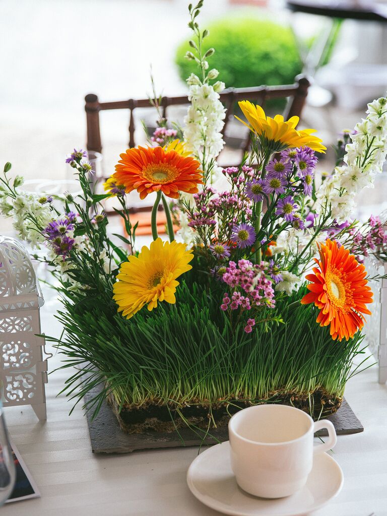 Grass gerbera daisy centerpieces