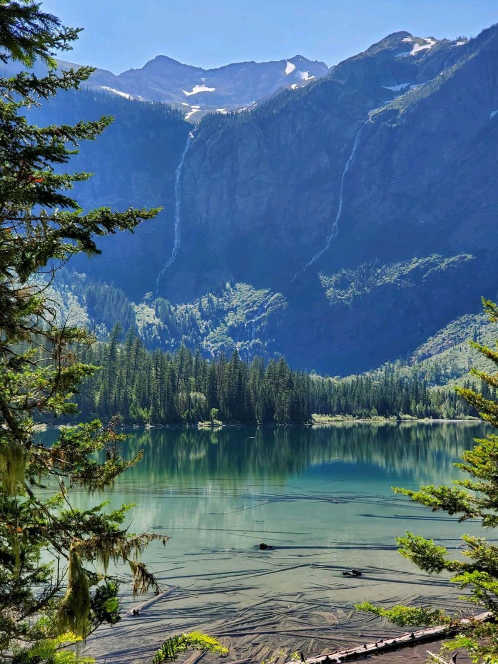 Picture of Trail Of The Cedars And Avalanche Lake
