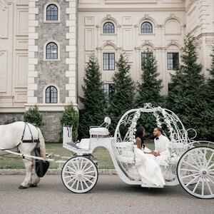 Gallery Photo 21