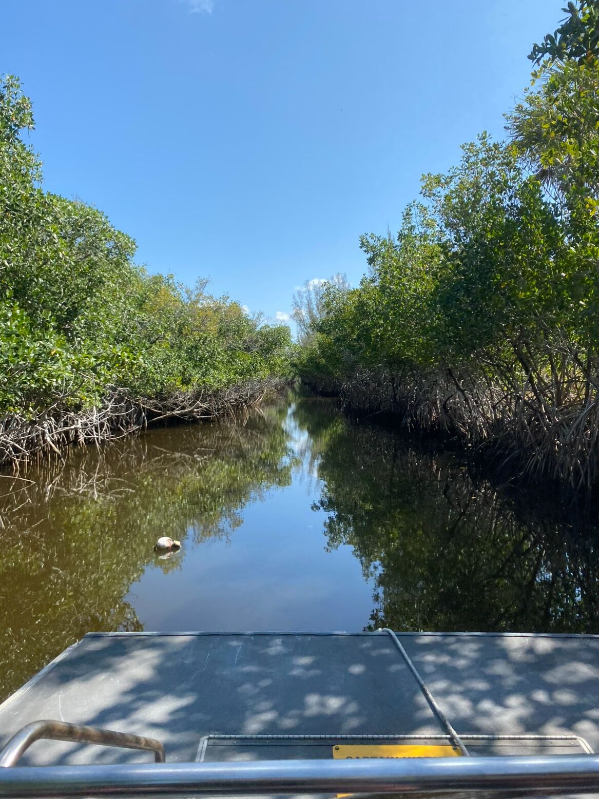 Picture of Captain Jack's Airboat Tours