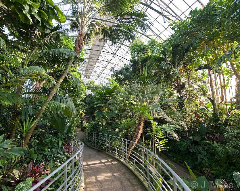 Picture of Krohn Conservatory