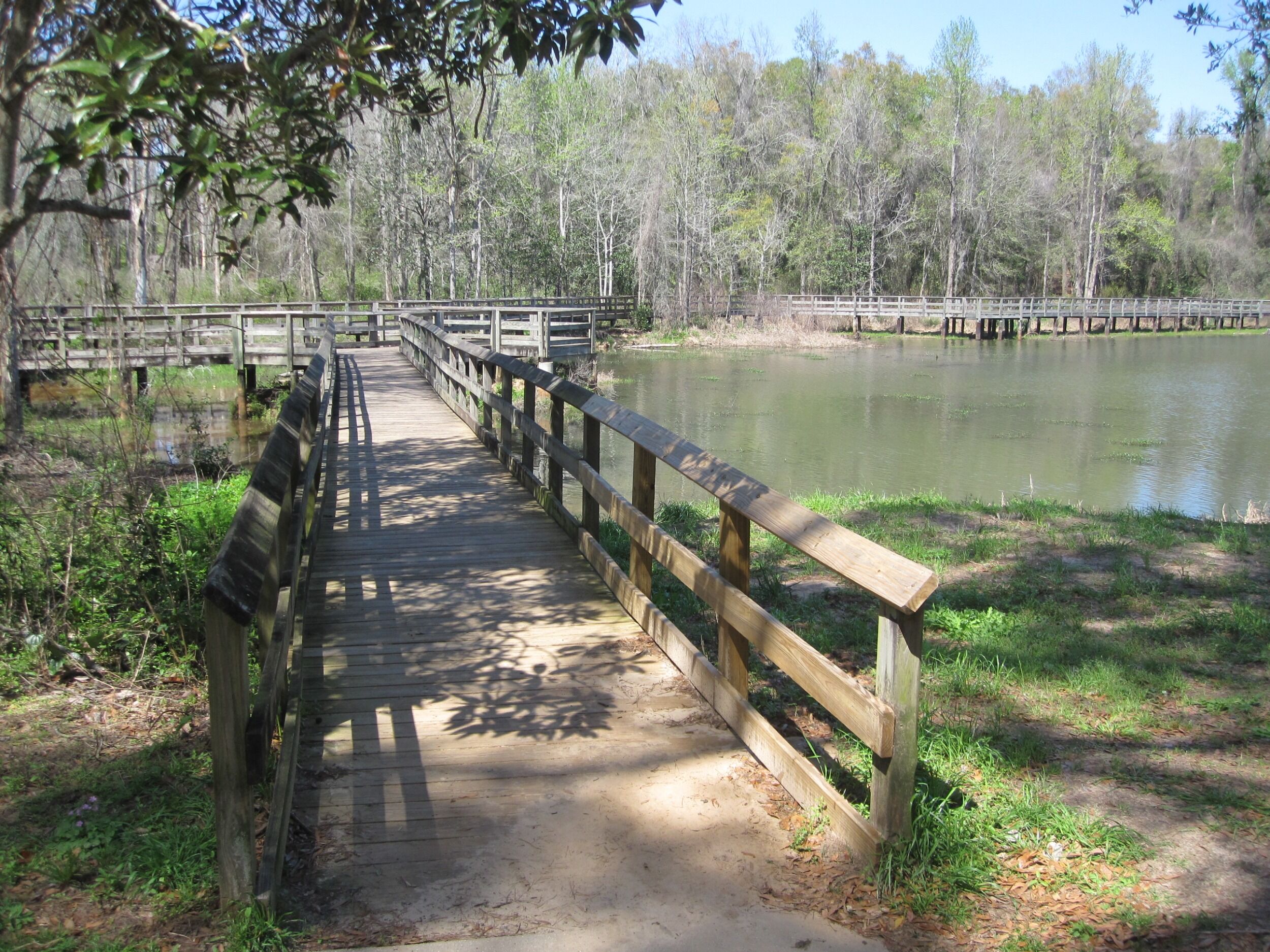 Picture of Tom Brown Park