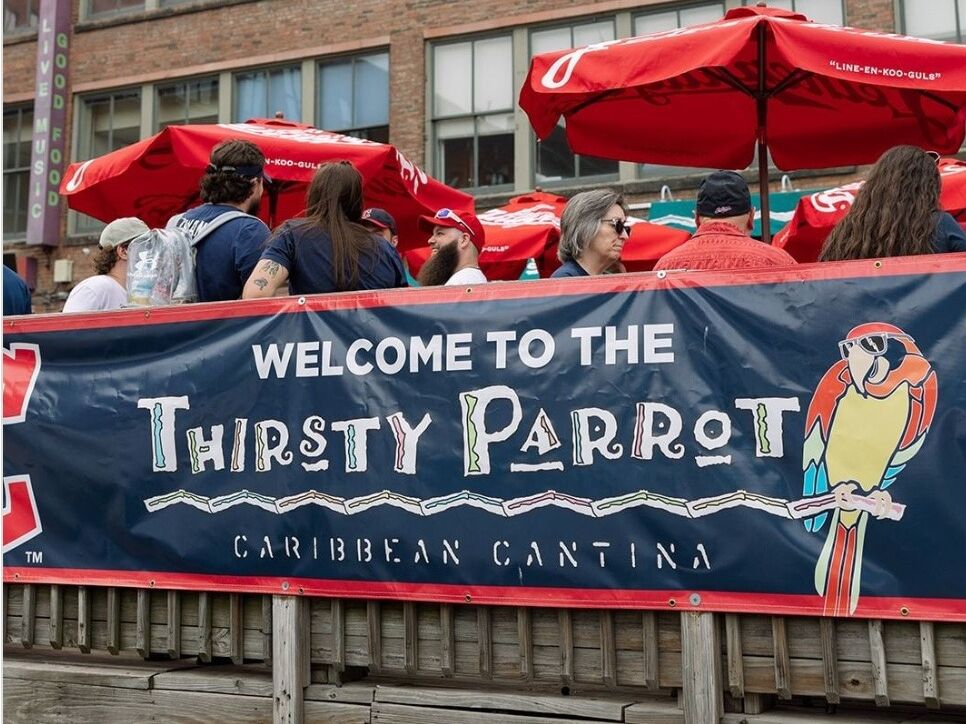 Picture of Thirsty Parrot