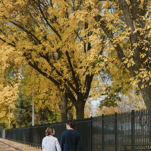Gallery Photo 26