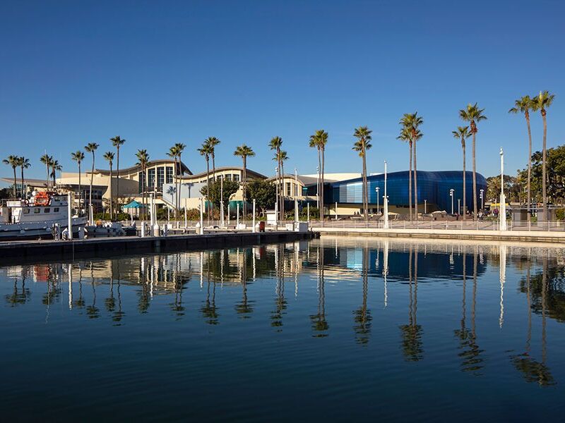 Picture of Aquarium of the Pacific