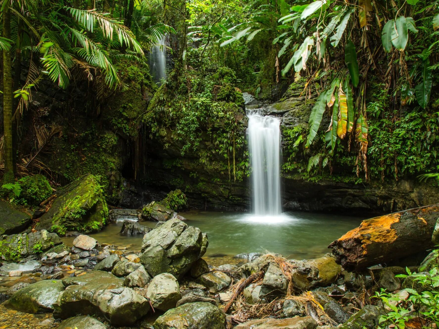Picture of El Yunque National Forest