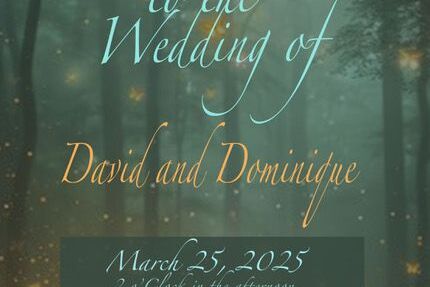 Dominique & David Home Page Banner