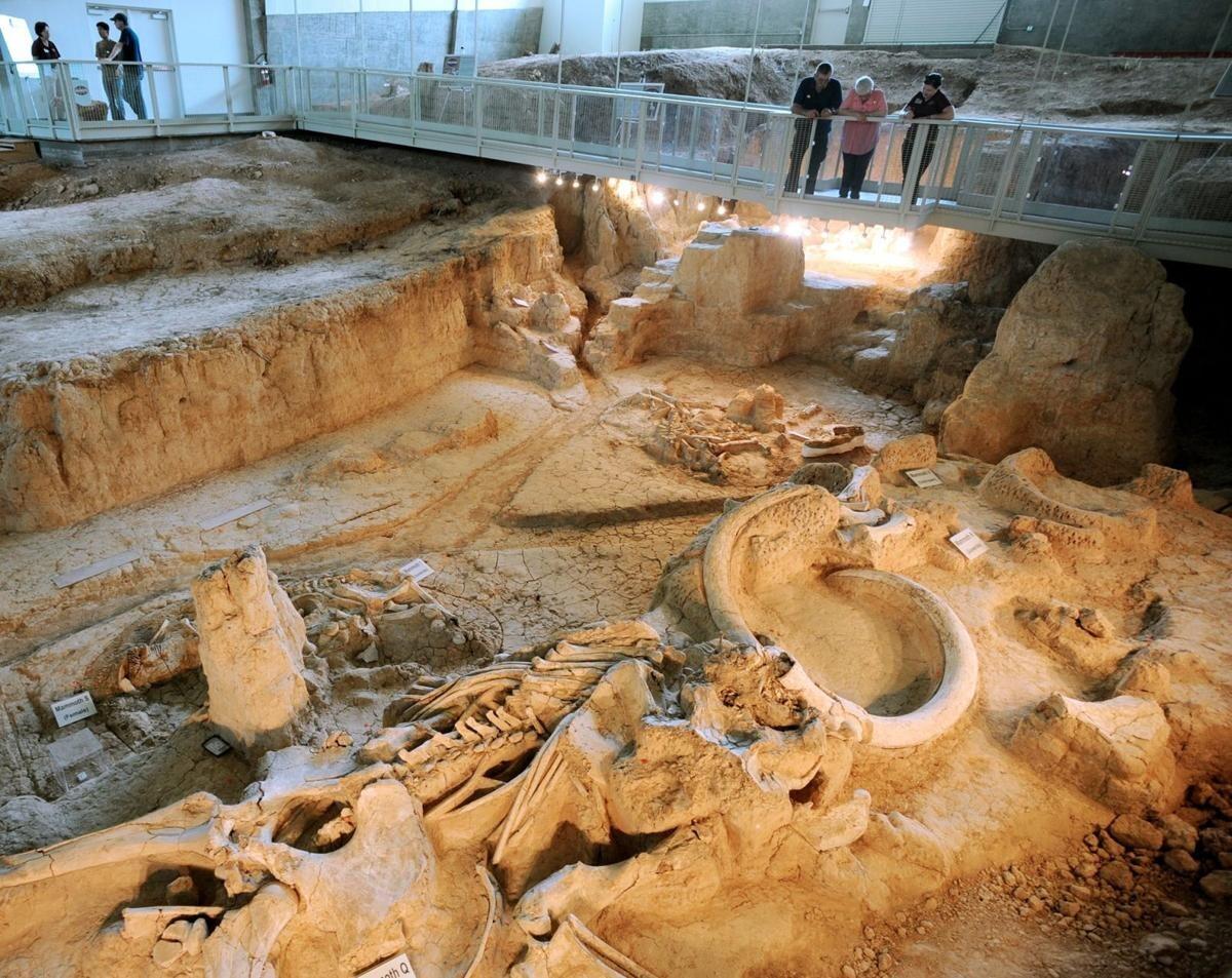 Picture of Waco Mammoth National Monument
