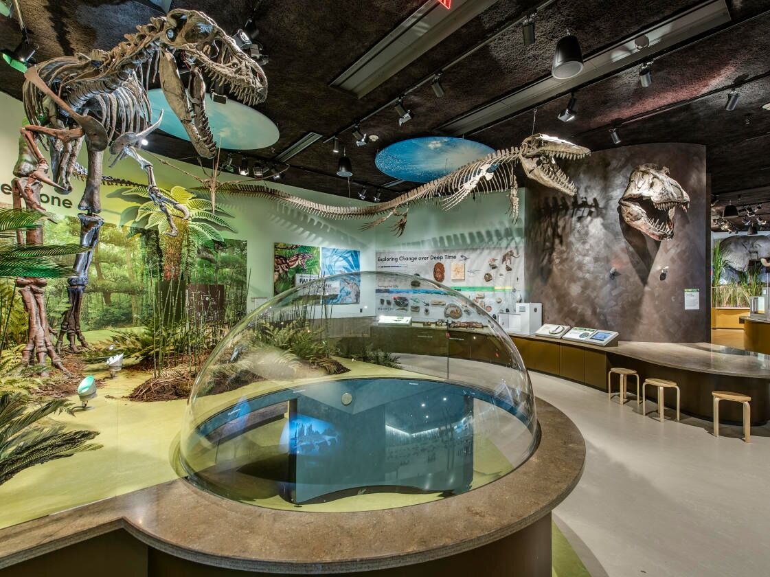 Picture of Delaware Museum of Nature & Science