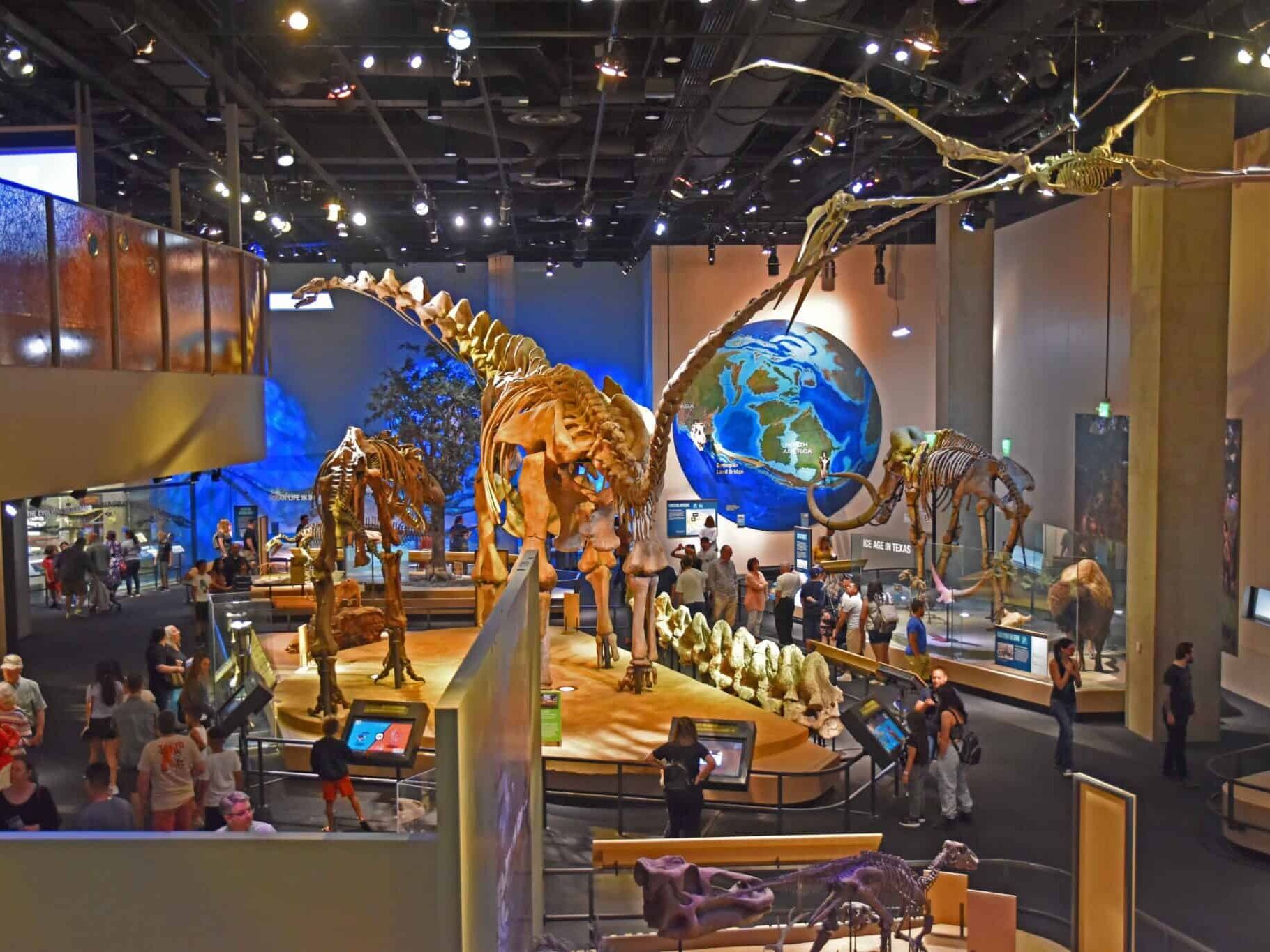 Picture of Perot Museum of Nature and Science