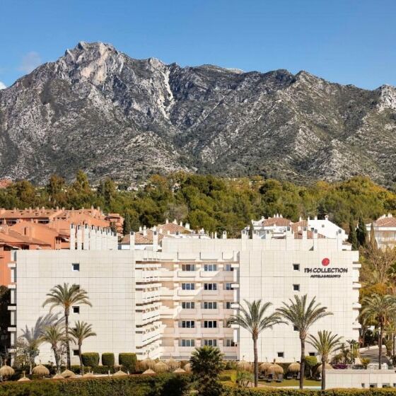 Picture of Hotel NH Collection Marbella