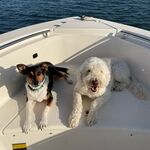 Lloyd And Harry 