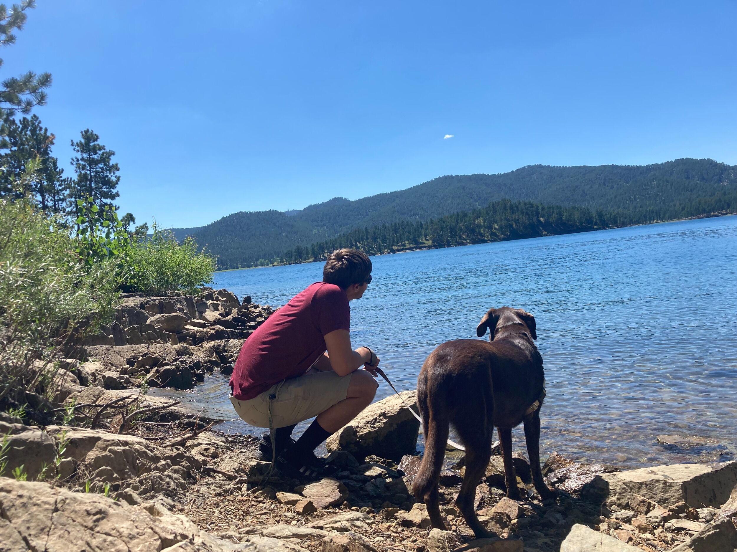 Picture of Pactola Lake