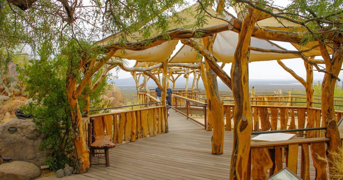 Picture of Arizona-Sonora Desert Museum