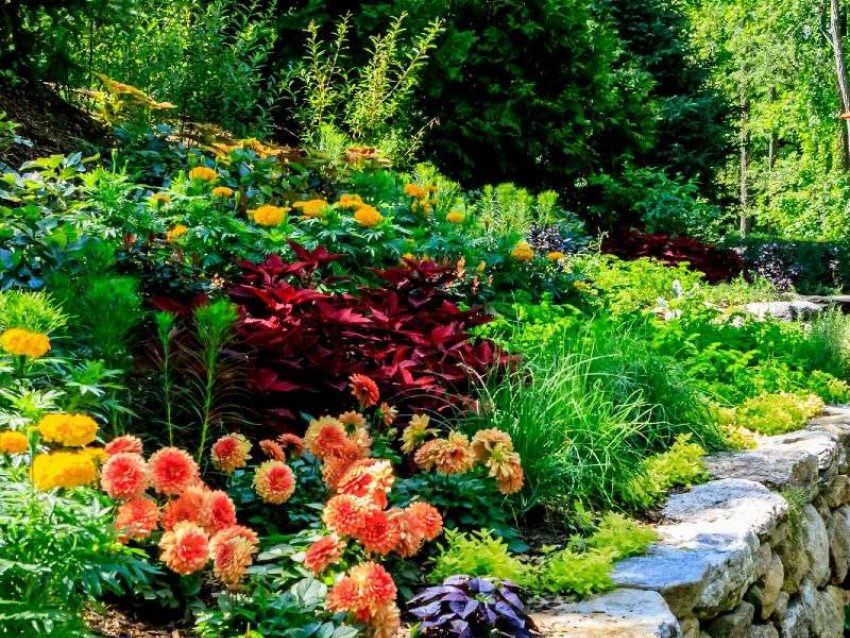 Picture of Heritage Museums & Gardens