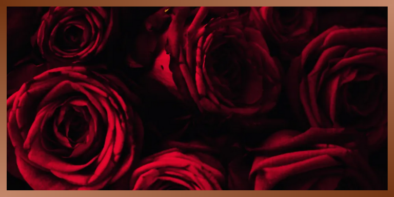 Nathan & Rachael Home Page Banner