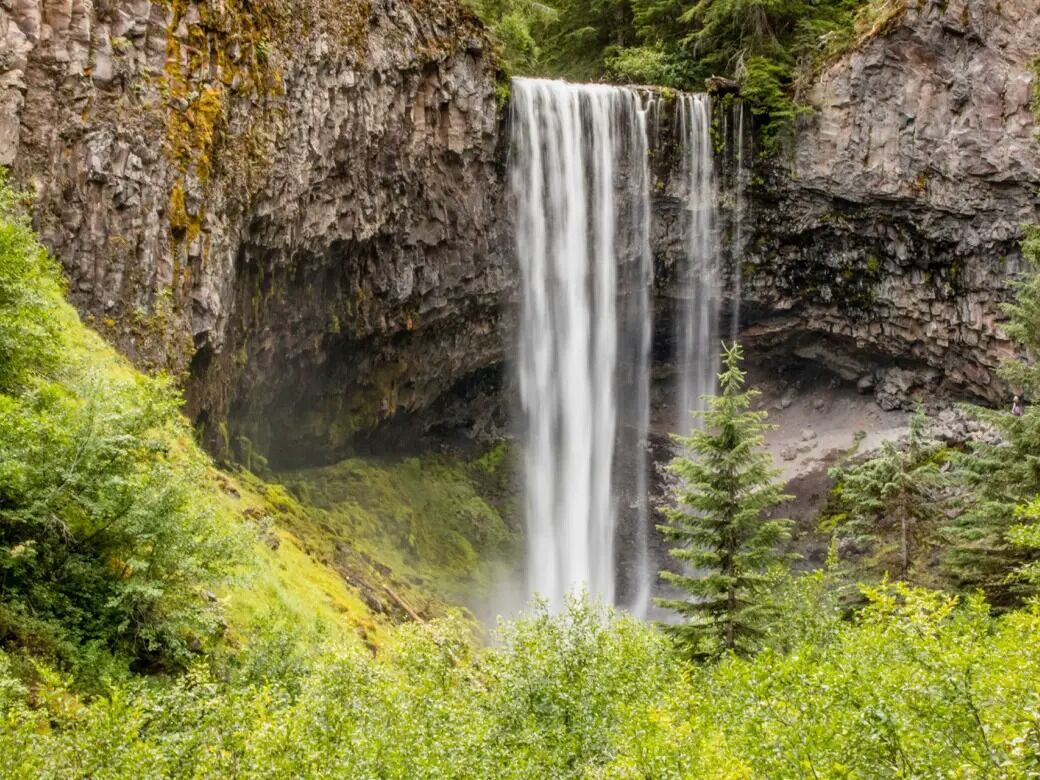 Picture of Tamanawas Falls Trailhead