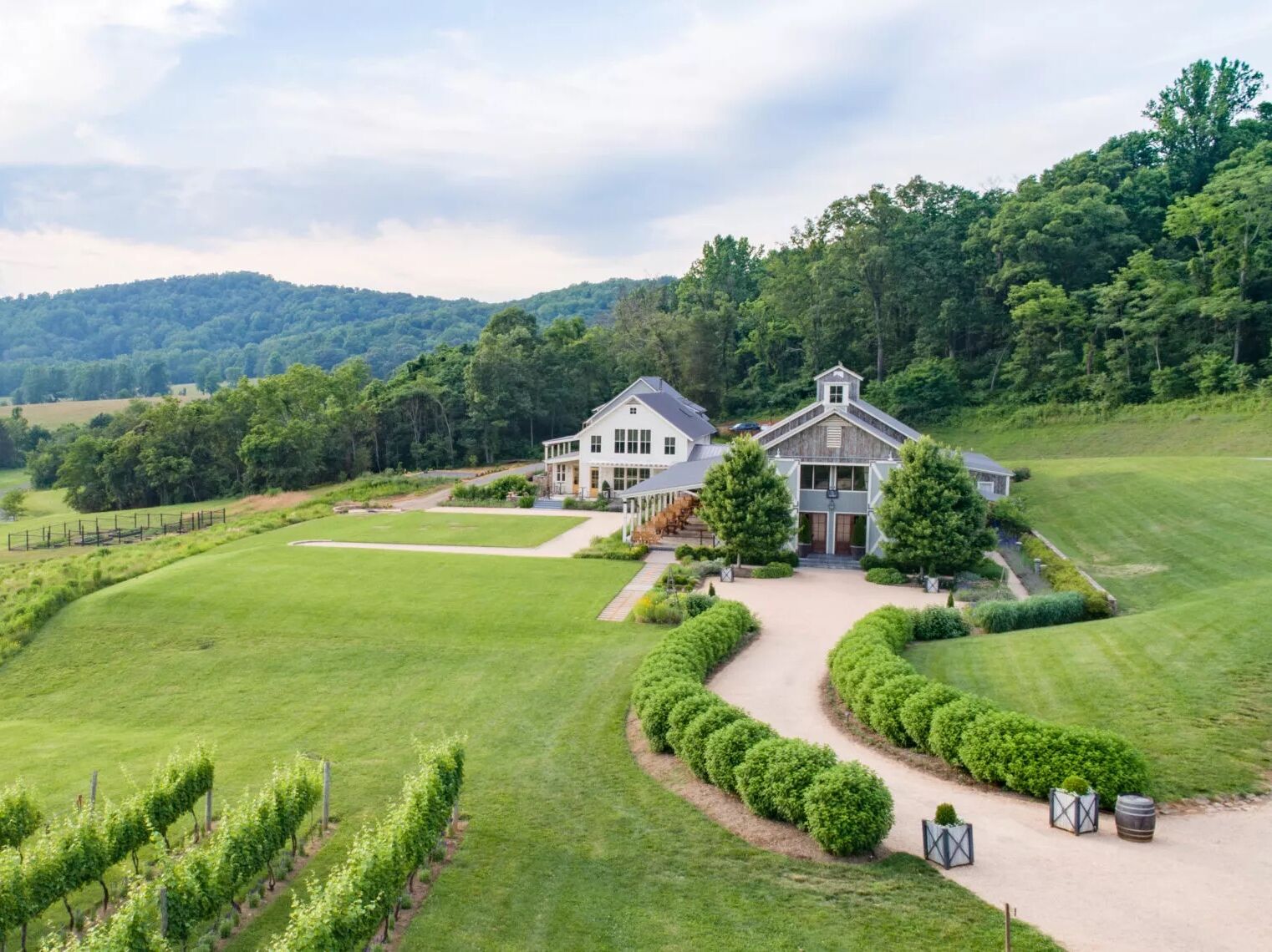 Picture of Pippin Hill Farm & Vineyards