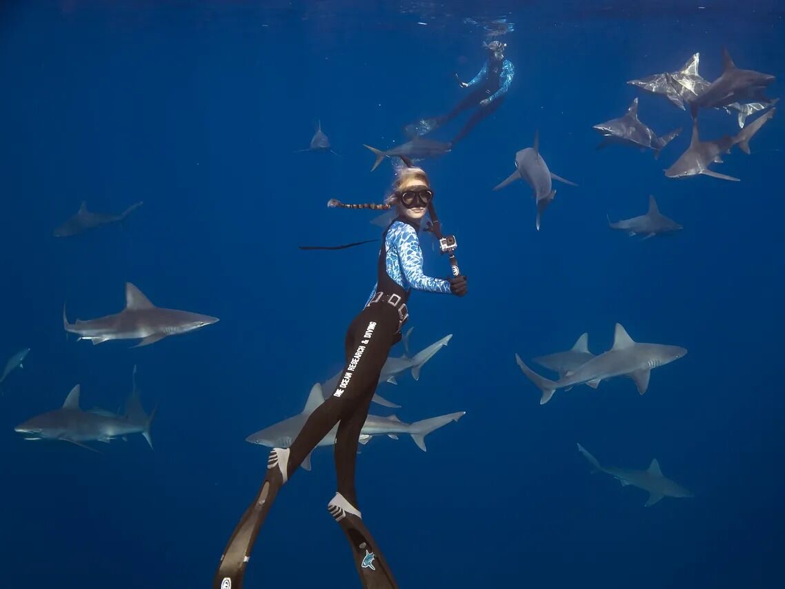 Picture of One Ocean Diving