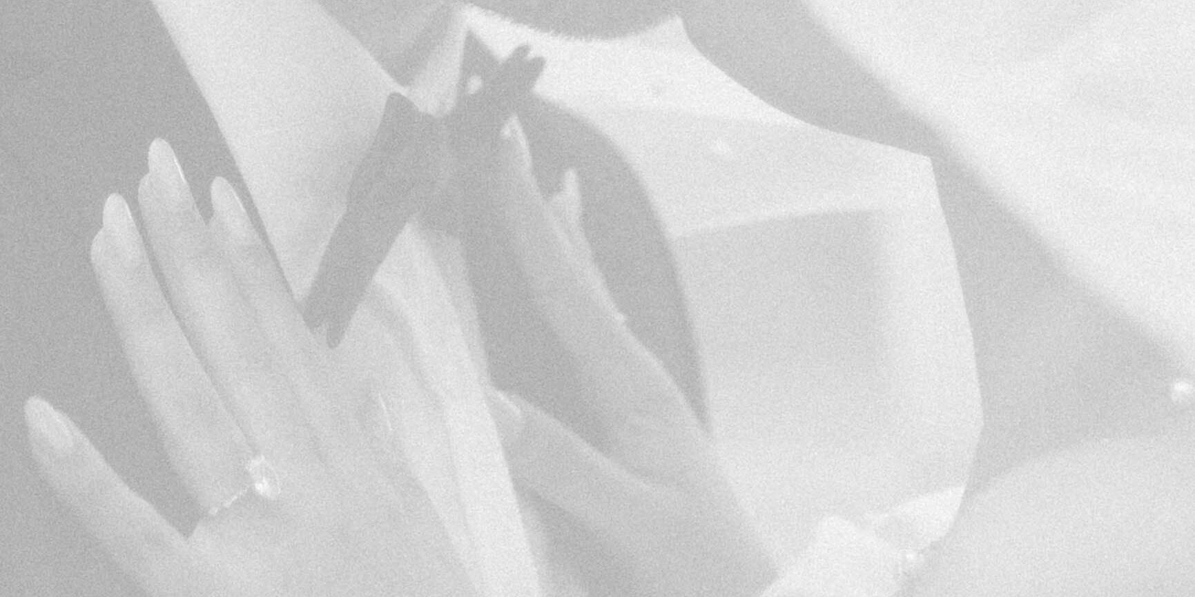 Jordan & Zachary Home Page Banner