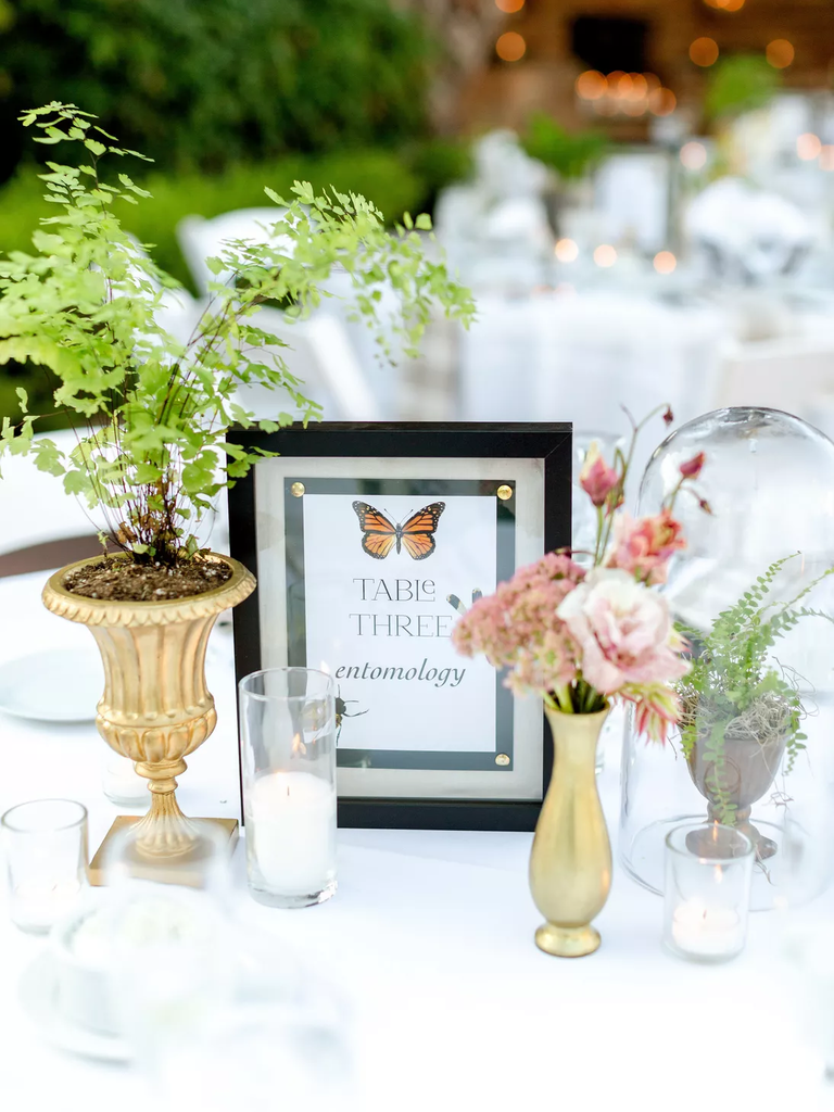 Monarch butterfly entomology wedding inspiration 